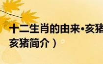 十二生肖的由来·亥猪（关于十二生肖的由来·亥猪简介）