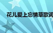 花儿爱上忘情草歌词（花儿爱上忘情草）