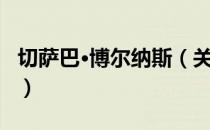 切萨巴·博尔纳斯（关于切萨巴·博尔纳斯介绍）