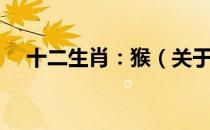 十二生肖：猴（关于十二生肖：猴简介）