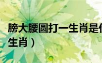 膀大腰圆打一生肖是什么生肖（膀大腰圆打一生肖）