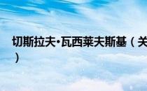 切斯拉夫·瓦西莱夫斯基（关于切斯拉夫·瓦西莱夫斯基介绍）