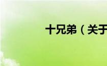 十兄弟（关于十兄弟简介）