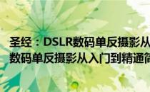 圣经：DSLR数码单反摄影从入门到精通（关于圣经：DSLR数码单反摄影从入门到精通简介）