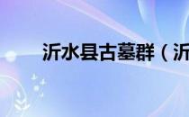 沂水县古墓群（沂水天上王城古墓）