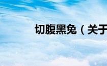 切腹黑兔（关于切腹黑兔介绍）