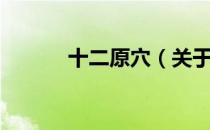 十二原穴（关于十二原穴简介）