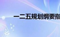 一二五规划纲要指出（一二五规划）
