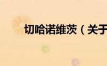 切哈诺维茨（关于切哈诺维茨介绍）