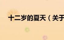 十二岁的夏天（关于十二岁的夏天简介）