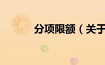 分项限额（关于分项限额介绍）