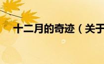 十二月的奇迹（关于十二月的奇迹简介）