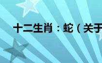 十二生肖：蛇（关于十二生肖：蛇简介）