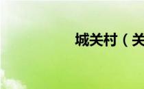 城关村（关于城关村）