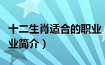 十二生肖适合的职业（关于十二生肖适合的职业简介）