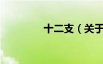 十二支（关于十二支简介）