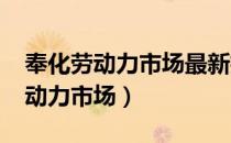 奉化劳动力市场最新招聘信息2021（奉化劳动力市场）