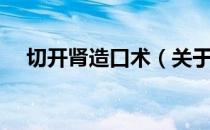 切开肾造口术（关于切开肾造口术介绍）