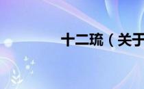 十二琉（关于十二琉简介）