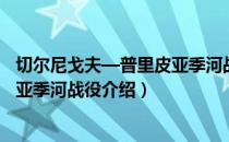 切尔尼戈夫—普里皮亚季河战役（关于切尔尼戈夫—普里皮亚季河战役介绍）