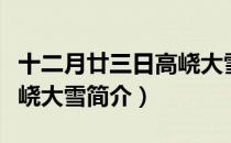 十二月廿三日高峣大雪（关于十二月廿三日高峣大雪简介）