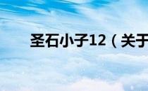 圣石小子12（关于圣石小子12简介）
