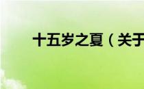 十五岁之夏（关于十五岁之夏简介）