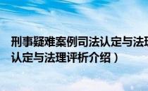 刑事疑难案例司法认定与法理评析（关于刑事疑难案例司法认定与法理评析介绍）