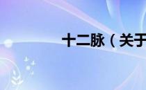 十二脉（关于十二脉简介）