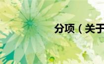 分项（关于分项介绍）