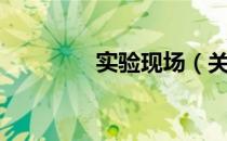 实验现场（关于实验现场）