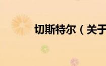 切斯特尔（关于切斯特尔介绍）