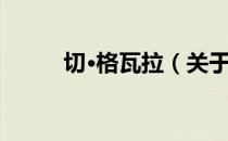 切·格瓦拉（关于切·格瓦拉介绍）