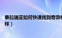 泰拉瑞亚如何快速找到奇异植物（泰拉瑞亚奇异植物长什么样）