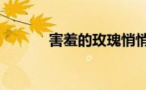 害羞的玫瑰悄悄地开始陪伴她。