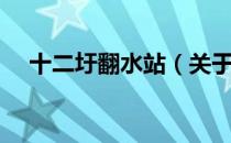 十二圩翻水站（关于十二圩翻水站简介）
