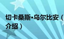 切卡桑斯·乌尔比安（关于切卡桑斯·乌尔比安介绍）
