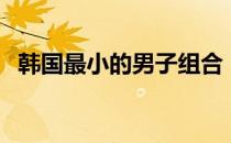 韩国最小的男子组合（韩国最小女子组合）