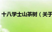 十八学士山茶树（关于十八学士山茶树简介）