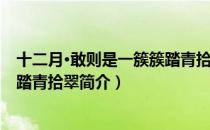 十二月·敢则是一簇簇踏青拾翠（关于十二月·敢则是一簇簇踏青拾翠简介）