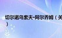 切尔诺乌索夫·阿尔乔姆（关于切尔诺乌索夫·阿尔乔姆介绍）