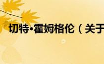 切特·霍姆格伦（关于切特·霍姆格伦介绍）