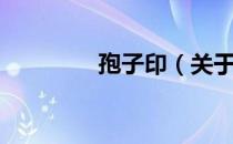 孢子印（关于孢子印介绍）