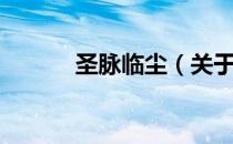 圣脉临尘（关于圣脉临尘简介）