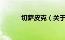 切萨皮克（关于切萨皮克介绍）