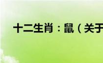 十二生肖：鼠（关于十二生肖：鼠简介）