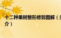 十二种果树整形修剪图解（关于十二种果树整形修剪图解简介）