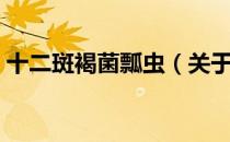 十二斑褐菌瓢虫（关于十二斑褐菌瓢虫简介）