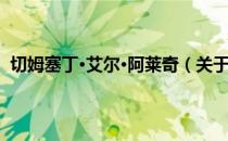 切姆塞丁·艾尔·阿莱奇（关于切姆塞丁·艾尔·阿莱奇介绍）