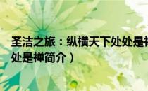 圣洁之旅：纵横天下处处是禅（关于圣洁之旅：纵横天下处处是禅简介）